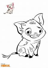 Vaiana Moana Pua Coloriage Dessin Cochon Colorier Pig Petit Ausmalbilder Princesse Coloriages Avec Imprimer Malen Maui Imprimir Camella Wade Lernen sketch template