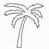 Palme Malvorlage Malvorlagen Fensterbilder Coloring Palmboom Kleurplaat Kinderbilder Palmenblatt Baum Bäume Insel sketch template