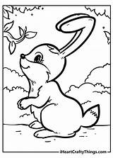 Rabbit Rabbits Iheartcraftythings Climbing Branches Perhaps Eat sketch template