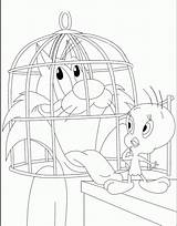 Tweety Titti Silvestro Coloring4free Sylvester sketch template