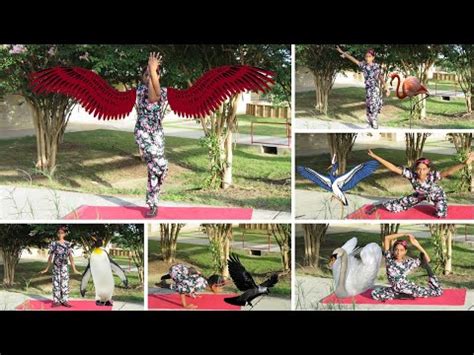 yoga  kids beautiful bird yoga poses  bird asanas  vedasri