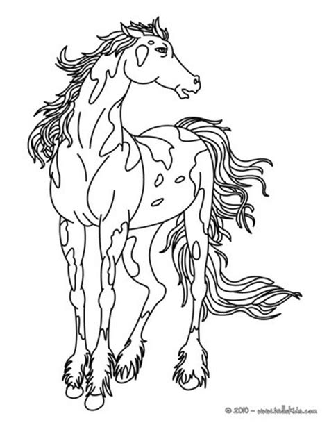 wild horse coloring pages hellokidscom