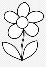 Flower Simple Bw Drawing Outline Clipart Daisy Colouring Flowers Pages Malenki Easy Drawings Pinclipart Clip Transparent Rose sketch template