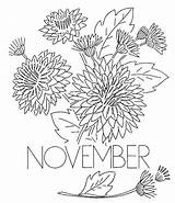 November Coloring Flower Chrysanthemum Pages Printable Month Flowers Book Vintage Print Color Henkes Kevin Transfers Kids Getcolorings Advertisement Coloringpagebook Qisforquilter sketch template