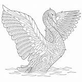 Zentangle Swan Stylized Stock Illustration Coloring Adult Freehand Preview sketch template