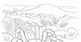 Desierto Biopedia Ecosistema Imagenes Habitats Terrestre Dibujar Deserts Biome Outline sketch template