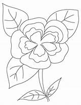 Camellia Coloring sketch template