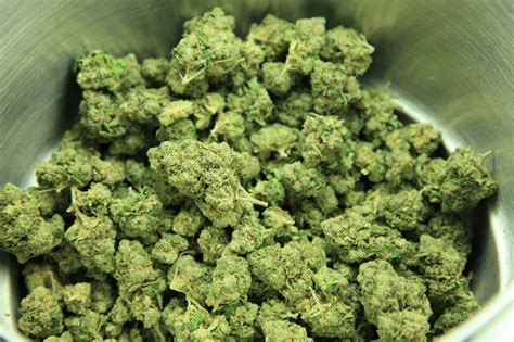 understanding  difference  marijuana strains