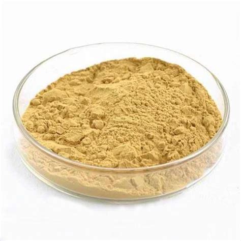 yeast extract powder  kg packaging type bag rs  kilogram id