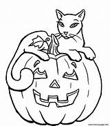 Coloring Halloween Cat Pages Printable Scary Pumpkin Pumpkins Print Kids Color Dog Cute Cats Colouring Sheets Sitting Beautiful Fall Pdf sketch template
