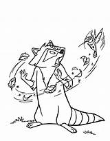 Pocahontas Coloring Disney Dessin Raccoon Drawing Colorier Pages Racoon Coloriage Meeko Princesse Imprimer Blogthis Email Twitter Library Clipart Flit sketch template