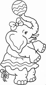 Zirkus Elefant Weiblicher Elefante Circo Ausmalbild Elefantes Sinestro Mewarnai Anúncios Malvorlagen sketch template