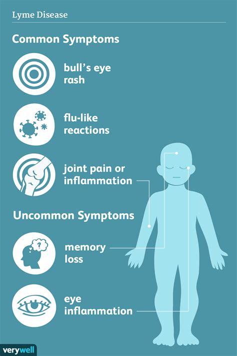 lyme disease signs symptoms  complications