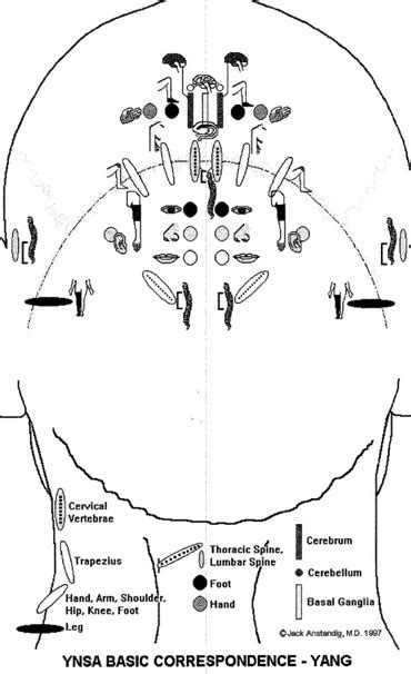 scalp acupuncture points on the back of the head