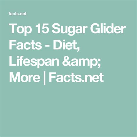 top  sugar glider facts diet lifespan  factsnet sugar glider gliders diet
