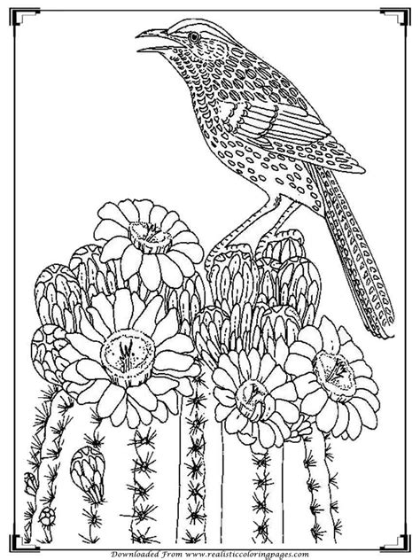 realistic bird pages coloring pages