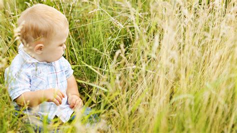 nature boosts memory  attention  children oversixty