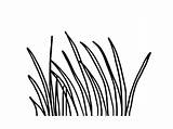 Grass Coloring Pages Long Green Drawing Color Printable Template Plants Lawn Getcolorings Getdrawings sketch template