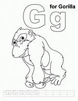 Gorilla Coloring Pages Kids Letter Phonics Zoo Handwriting Practice Gordo Preschool Sheet Craft Color Animal Animals Colouring Print Sheets Alphabet sketch template