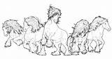 Herd Vanner Pferde Realistic Pegasus Friesian Volwassenen Caro sketch template