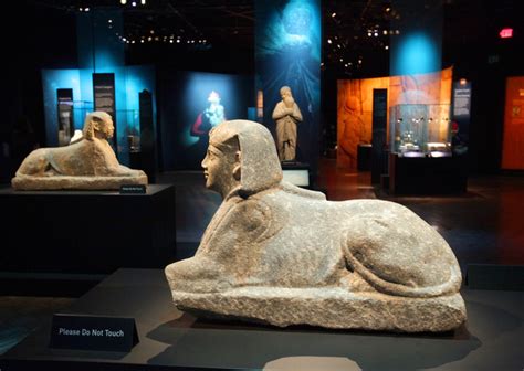 cleopatra exhibit is all about the search