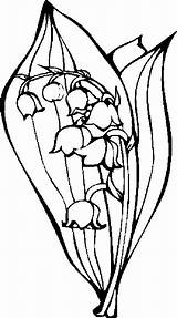 Lily Valley Coloring Pages Getcolorings sketch template