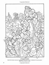 Coloring Dover sketch template