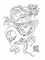Illustrazione Tatuaggio Drago sketch template