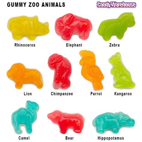 gummy zoo animals assortment lb bag zoo animals wild kratts