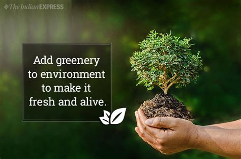 world environment day 2019 theme slogans quotes poster awareness messages wallpapers and