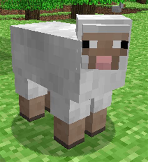 sheep minecraft wiki guide ign
