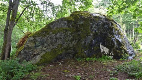 rock moss forest rocks  boulders pinterest forests  rocks architecture photography