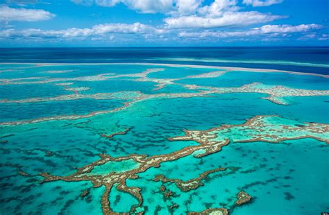 great barrier reef  australia  clear threat  huffpost