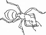 Ant Coloring Color Pages Printable Kids sketch template