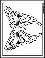 Geometric Butterfly Coloring Pages Symmetry Nature Fancy Print Geometrical Pdf Detailed Colorwithfuzzy Template sketch template