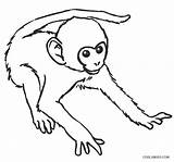 Monkey Coloring Pages Baby Printable Kids sketch template