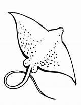 Coloring Pages Stingray Ray Stingrays Animal Colouring Printable Manta Print Ocean Kids Favorite Marine Outline Sea Fish Noodle Animals Drawings sketch template