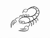 Scorpion Scorpions Scorpio Coloriage Animaux Litopenaeus sketch template