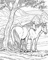 Cavalli Cavallo Stampare Kleurplaat Adulti Disegnidacolorareperadulti Stampa Volwassenen Paard Naturale Cavalos Coloringpagesforadult Paarden Visiter Libri Zezinho sketch template