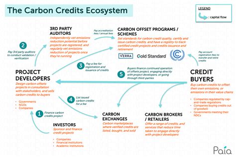 carbon offsets  credits explained paia consulting