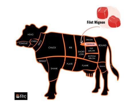 beef tenderloin  filet mignon   differences explained