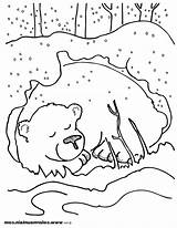 Coloring Animals Hibernating Pages Getcolorings Printable Color sketch template