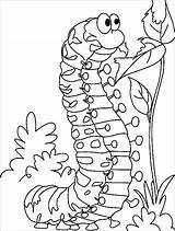 Coloring Caterpillar Pages Coloringbay sketch template