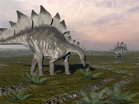 facts  stegosaurus