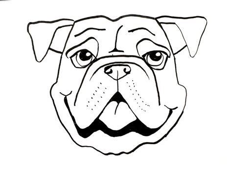 dog face drawing    clipartmag