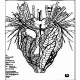  sketch template