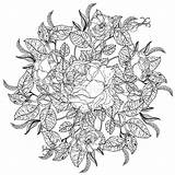 Natura Antistress Morta Mandala sketch template