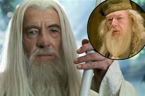 Harry Potter Ian Mckellen Reveals Why He Turned Down Role