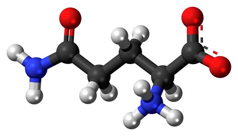 aminokwasy jak wazne sa dla funkcjonowania naszego organizmu blog