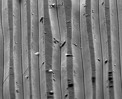 incredible   record grooves   electron microscope